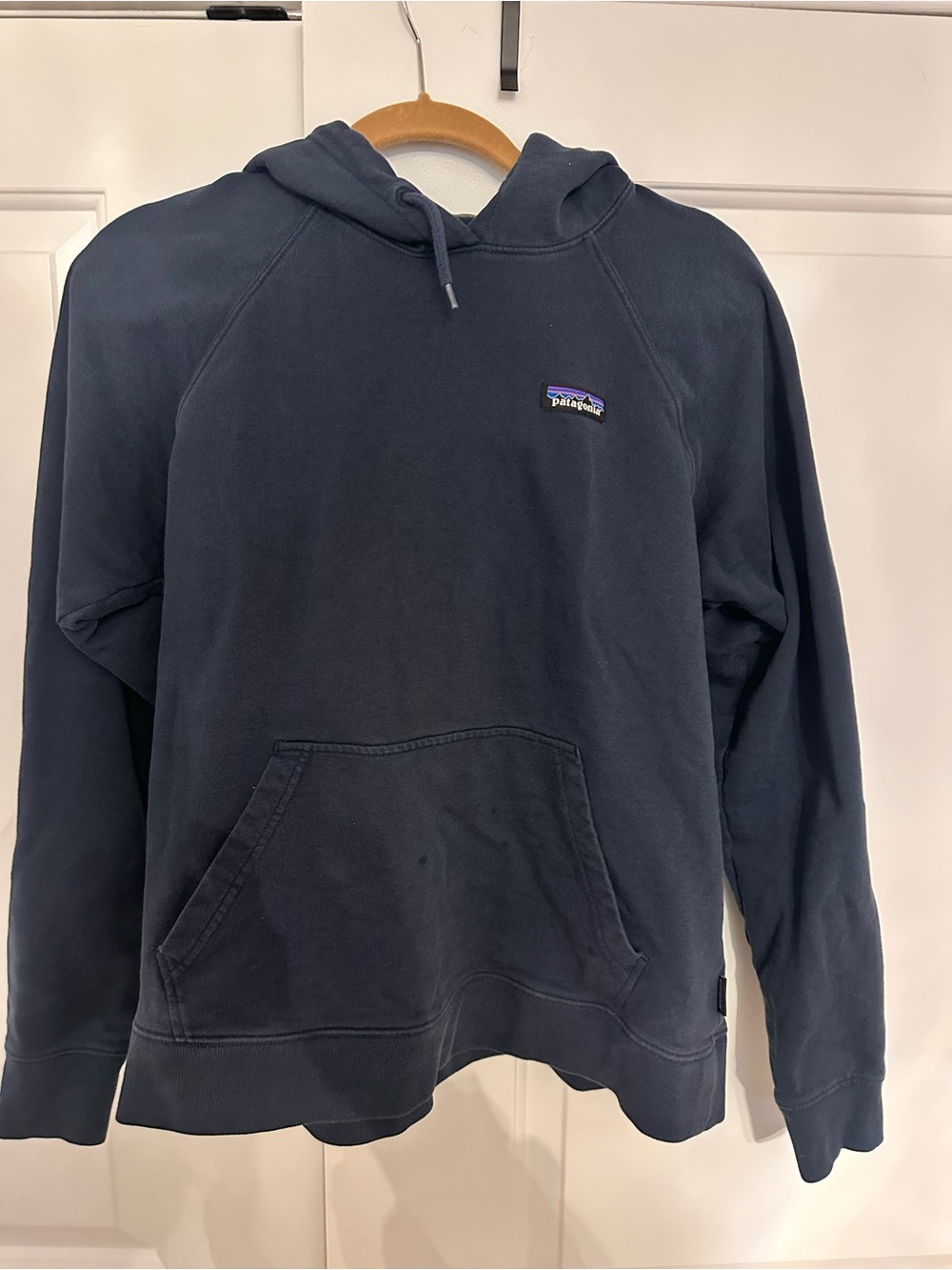 Patagonia Navy Pullover Hoodie